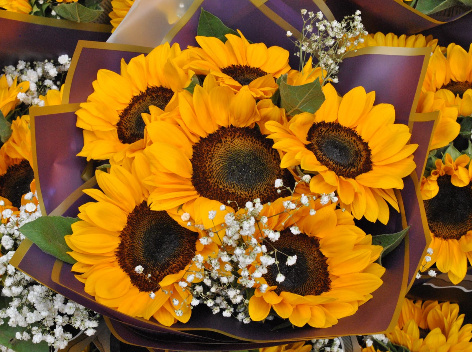 Bouquet de girasoles