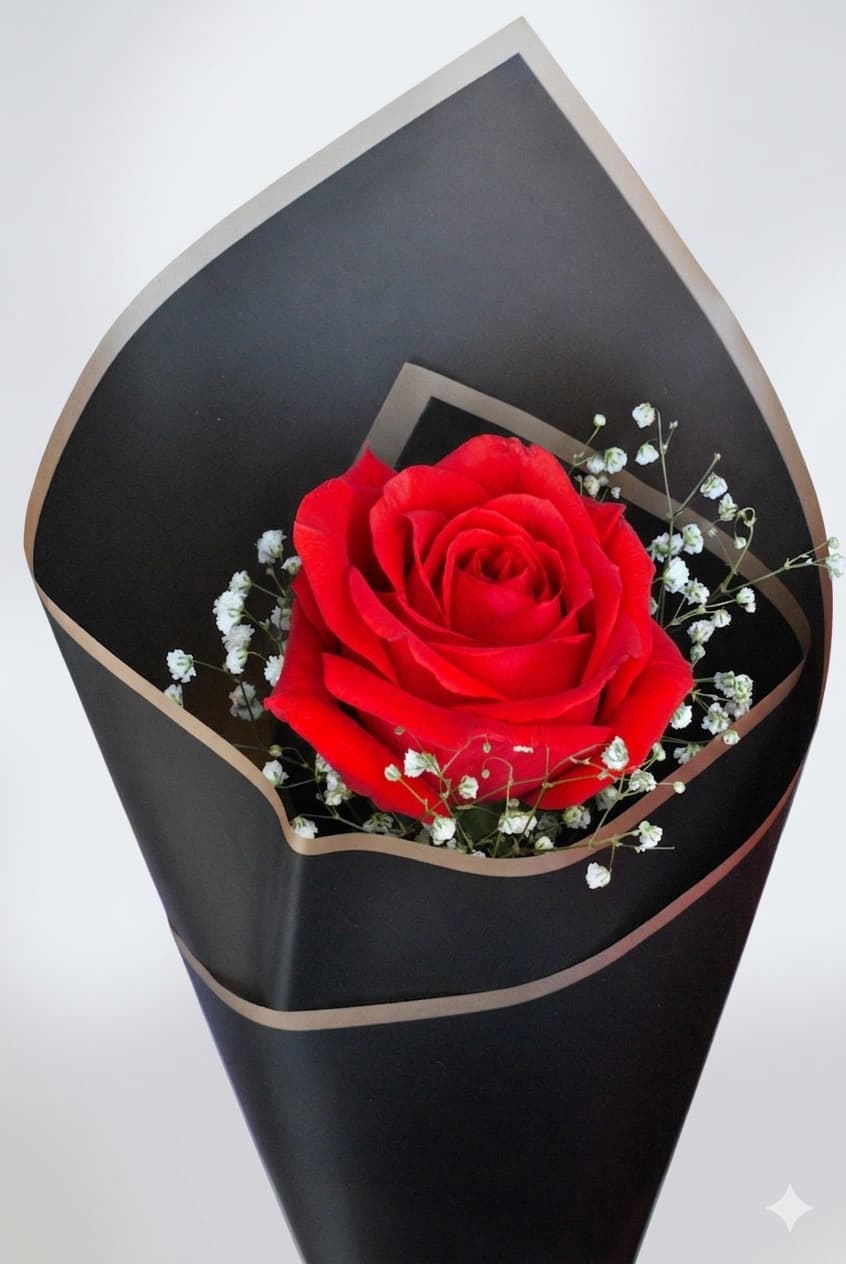 1 Rosa